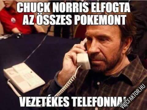 Chuck Norris elfogta az sszes Pokemont