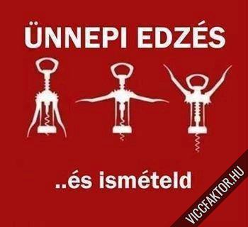 nnepi edzs