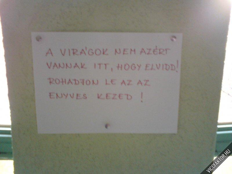 Egy dombvri lpcshzban