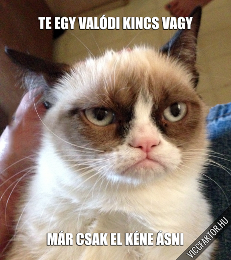 Te egy valdi kincs vagy