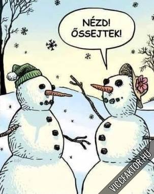 Hember vilga….