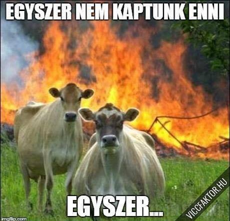 Kemnyek vagyunk, ennyi