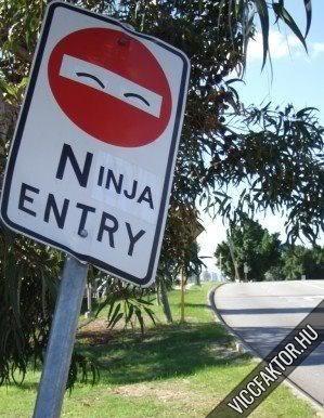 Ninja bejrat