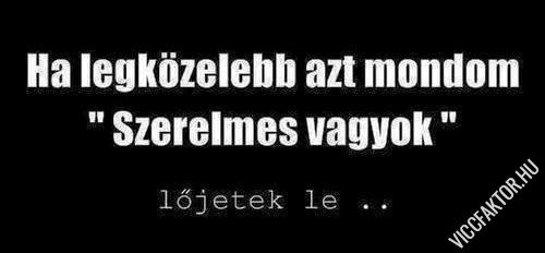 Nincs tbb szerelem