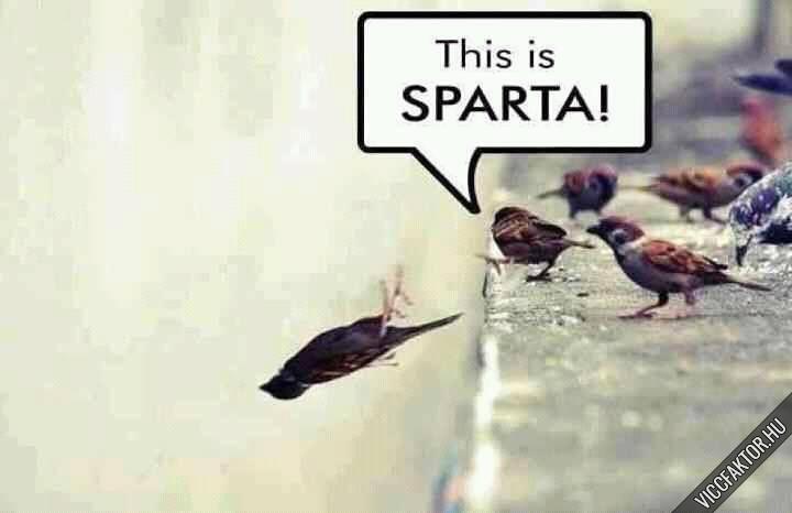This is SPARTAA