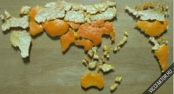 Narancsvilg